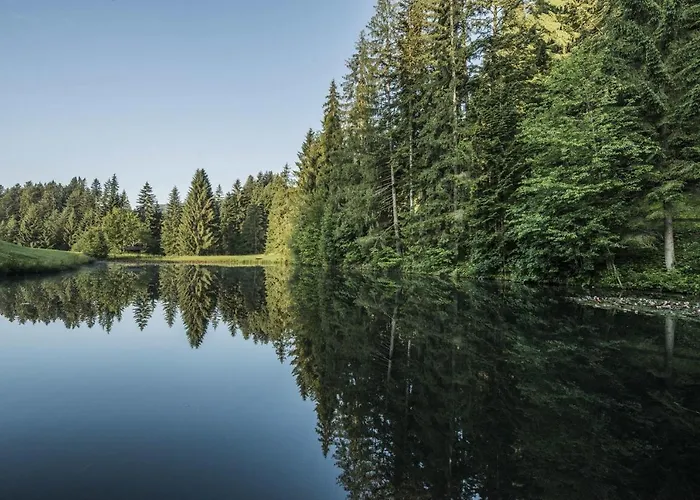 Ferienwohnung Waldglück